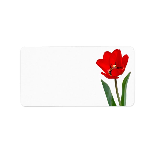 Etiqueta de Tulip (Frente)