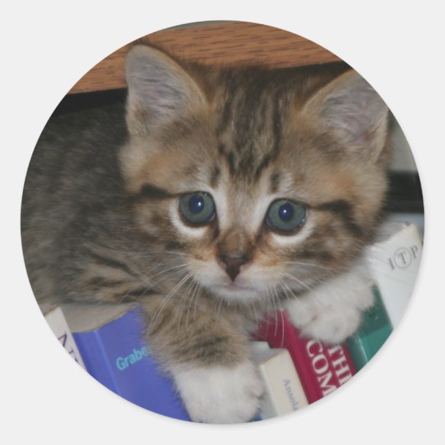 Etiqueta de verme (Frente)