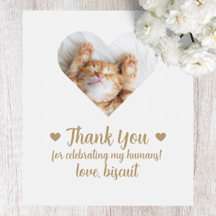 Etiqueta de Vinho de Foto Personalizada Cat I Do T
