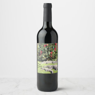 Etiqueta de Vinho de Natal para Gators na Flórida
