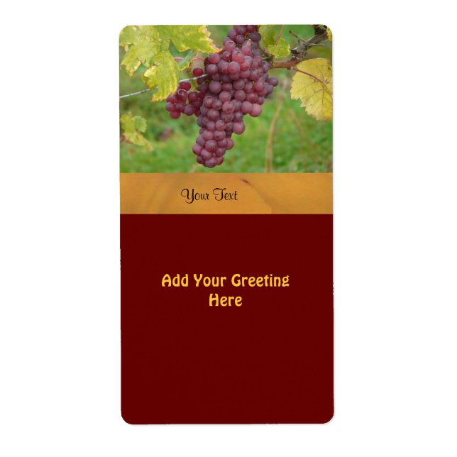Etiqueta de Vinho Modelo (Frente)