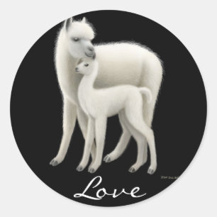 Etiqueta do amor da alpaca