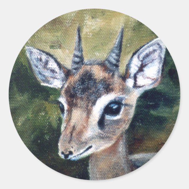 Etiqueta do antílope do anão de Dikdik (Frente)