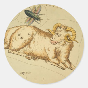 Etiqueta do Aries