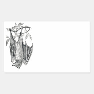 Etiqueta do bastão do vintage