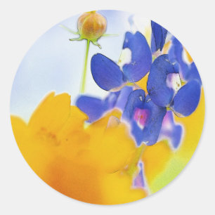 Etiqueta do Bluebonnet