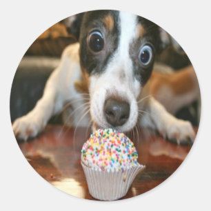 Etiqueta do bolo do filhote de cachorro