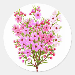 Etiqueta do buquê da flor da cera