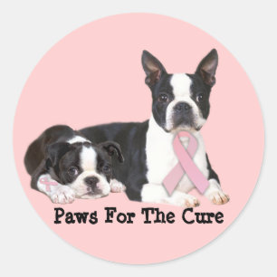 Etiqueta do cancro da mama de Boston Terrier