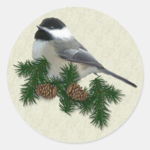 Etiqueta do Chickadee