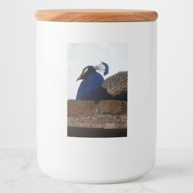 Etiqueta do contêiner da Comida de Peacock (Frente)