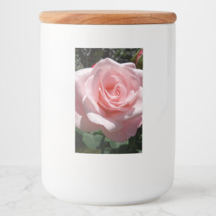 Etiqueta do Contêiner de Comida Rosa Rosa Rosa Ro