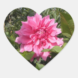 Etiqueta do coração da flor
