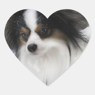 Etiqueta do coração do herói do beijo de Hershe