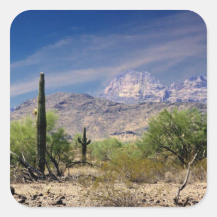 Etiqueta do deserto de Sonoran