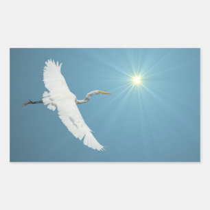 Etiqueta do Egret 1 do vôo