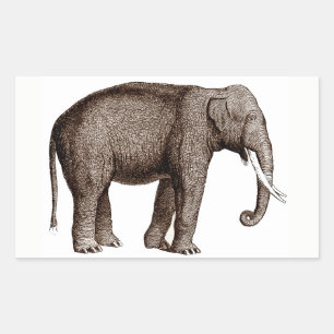 Etiqueta do elefante