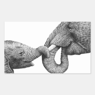 Etiqueta do elefante africano e da vitela