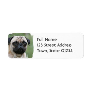 Etiqueta do enviamento do cão de filhote de
