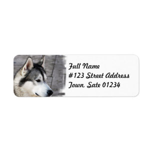 Etiqueta do enviamento do cão do Malamute