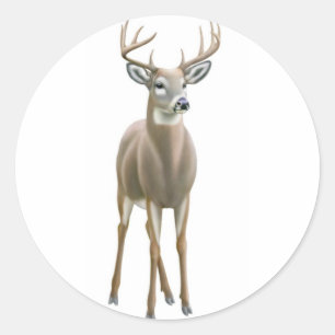 Etiqueta do fanfarrão do Whitetail