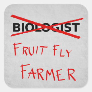 Etiqueta do fazendeiro da mosca de fruta