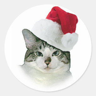 Etiqueta do gatinho do Natal