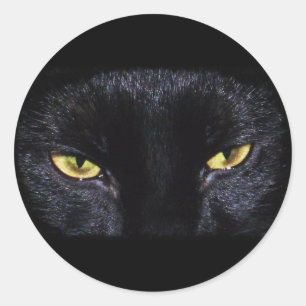 Etiqueta do gato preto do Dia das Bruxas