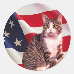 Etiqueta do gato toda americana
