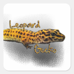 Etiqueta do geco do leopardo