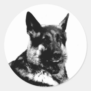 Etiqueta do german shepherd