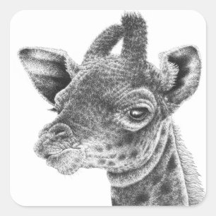 Etiqueta do girafa do bebê