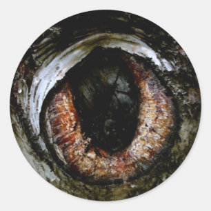 Etiqueta do globo ocular