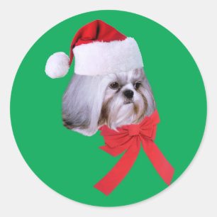 Etiqueta do Natal de Shih Tzu