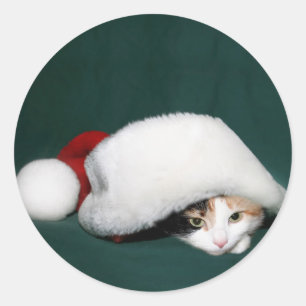 Etiqueta do papai noel do gato de chita