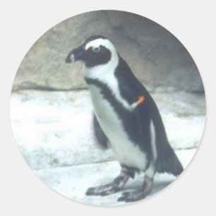 Etiqueta do pinguim