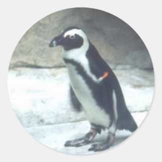 Etiqueta do pinguim