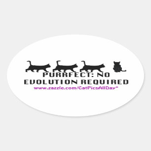 Etiqueta do Promo da evolução de Purrfect