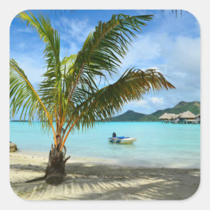 Etiqueta do recurso da palmeira e do overwater