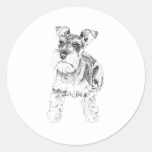Etiqueta do Schnauzer diminuto