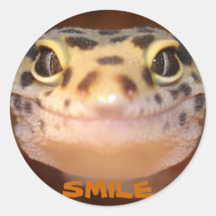 Etiqueta do sorriso do geco do leopardo