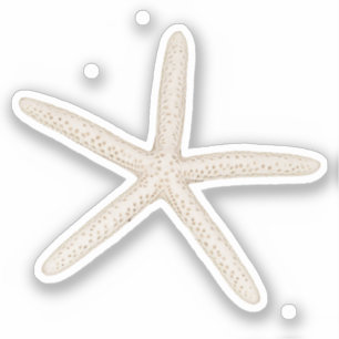 Etiqueta do Starfish Sticker