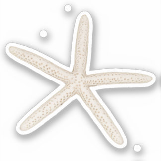Etiqueta do Starfish Sticker