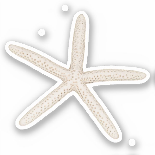 Etiqueta do Starfish Sticker (Frente)