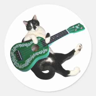 Etiqueta do Ukulele do gato