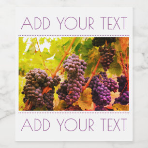 Etiqueta do vinho das uvas
