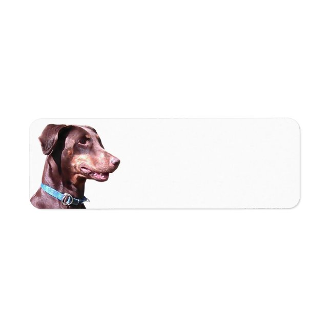 Etiqueta Doberman Pinscher Red (Frente)