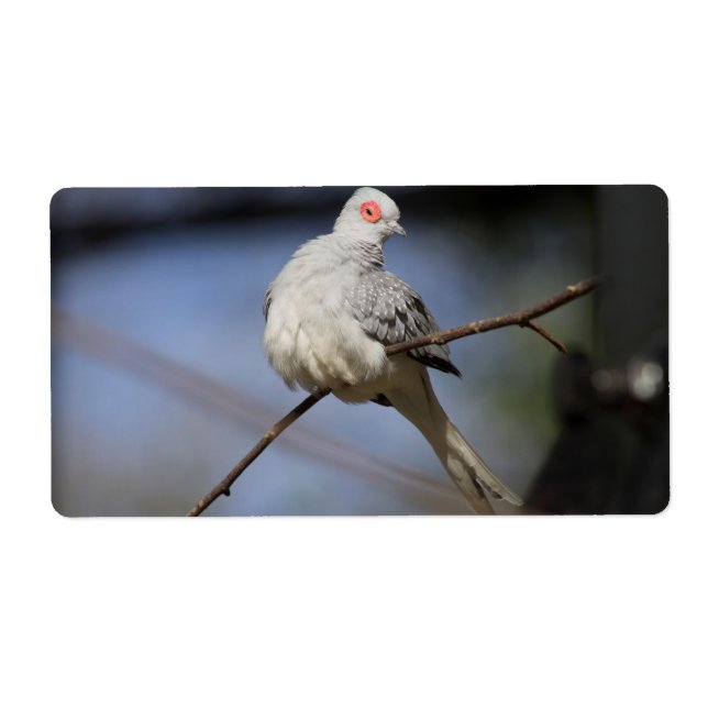 Etiqueta Doce Bela Doente de Diamante (Frente)