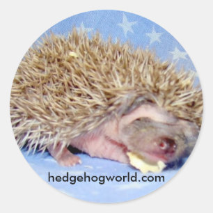 Etiqueta doce do bebê