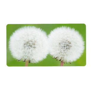 Etiqueta Dois dentes-de-leão